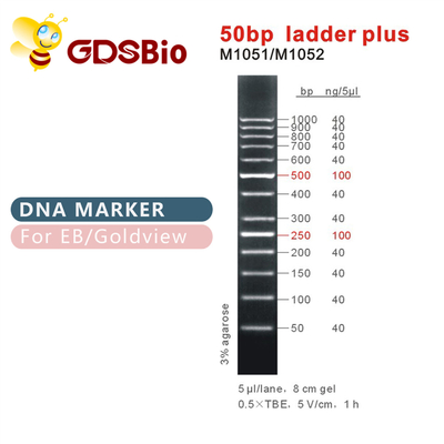 Penanda DNA Ladder Plus 50bp M1051 (50μg)/M1052 (50μg×5)