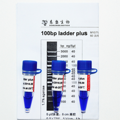Penanda DNA Ladder Plus 100bp M1071 (50μg)/M1072 (50μg×5)