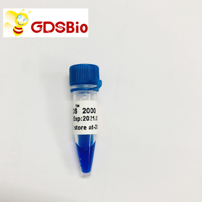 Reagen Kemurnian Tinggi LD DS 2000 DNA Marker Gel Electrophoresis 60 Preps