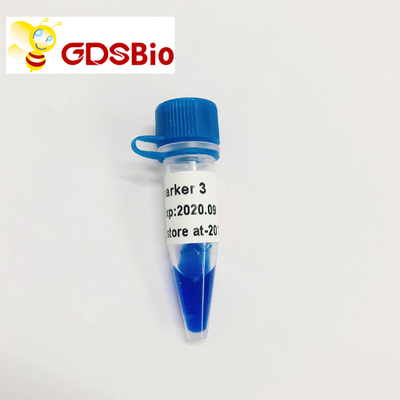 LD Marker 3 Tangga DNA Elektroforesis 60 Mempersiapkan Reagen Kemurnian Tinggi