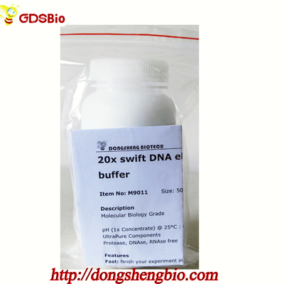 20× Swift DNA Electrophoresis Buffer 500ml Reagen Spesifik