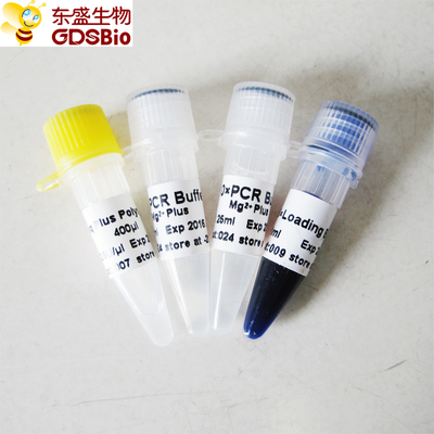 Penyangga Biru Taq Plus DNA Polimerase Untuk PCR P1031 P1032 P1033 P1034