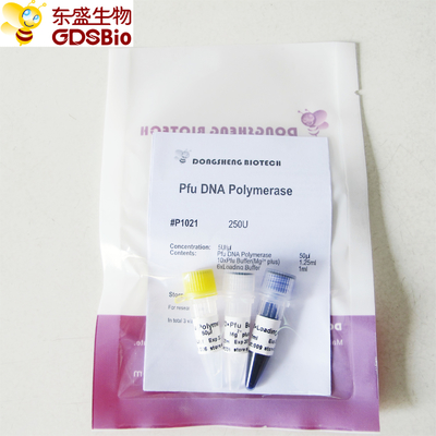 Pfu DNA Polimerase untuk PCR P1021 P1022 P1023 P1024