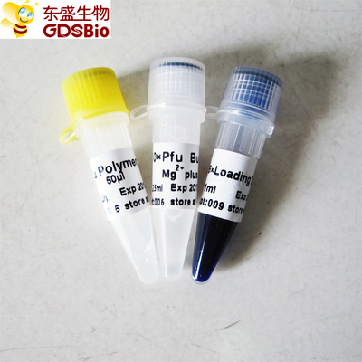 Pfu DNA Polimerase untuk PCR P1021 P1022 P1023 P1024