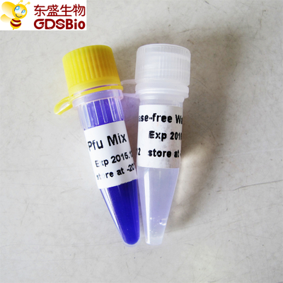 DNA RNA Asam Nukleat Deteksi PCR Pfu PCR Master Mix P2021 1ml