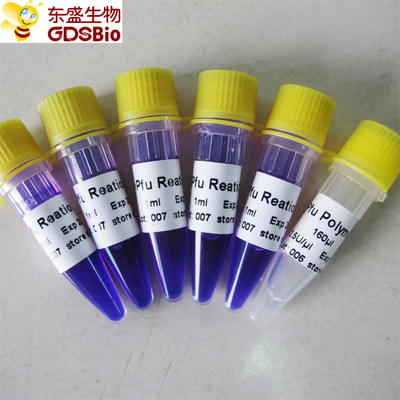Deteksi PCR Asam Nukleat Pfu Master Mix P3022 1ml×5