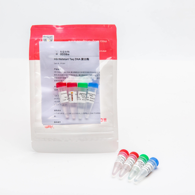 HS Hotstart Taq DNA Polymerase PCR Master Mix P1091 500U Spesifisitas Tinggi