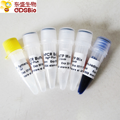 GDSBio Taq DNA Polymerase P1014 1000U berkualitas tinggi