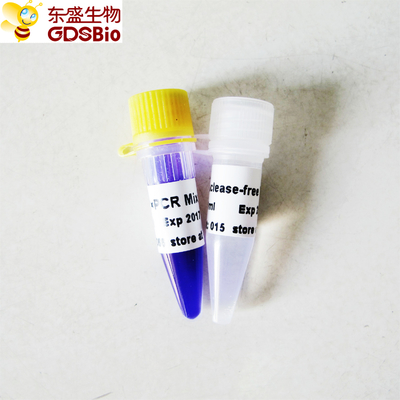 2x Taq PCR Reaction Mix P2011 1ml GDSBio Blue Buffer