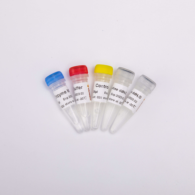 RT PCR Mix Untuk QPCR Premixed Reverse Transcriptase PCR Reagen R1031