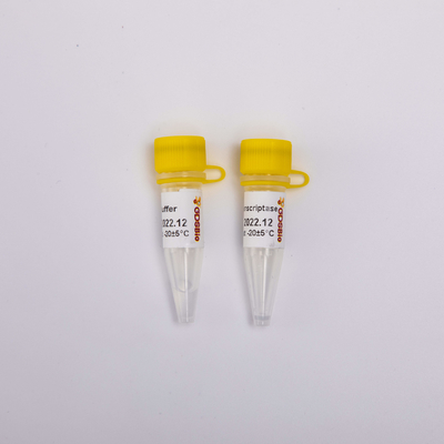 Emas Rt PCR Reverse Transcriptase R3001 2000U R3002 10000U