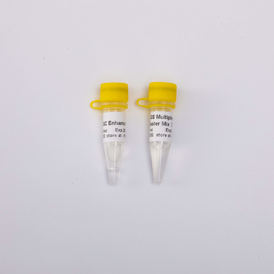40/400/2000 Reaksi 2X NGS Multi Plex PCR NM1001 NM1002 NM1003