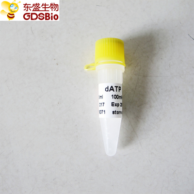 dATP untuk PCR qPCR P9071 0,5ml