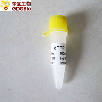 dTTP untuk PCR qPCR P9081 0,5ml