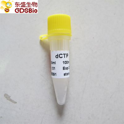 DCTP untuk PCR qPCR P9091 0.5ml