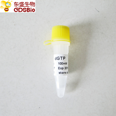 dGTP untuk PCR qPCR P9101 0,5ml