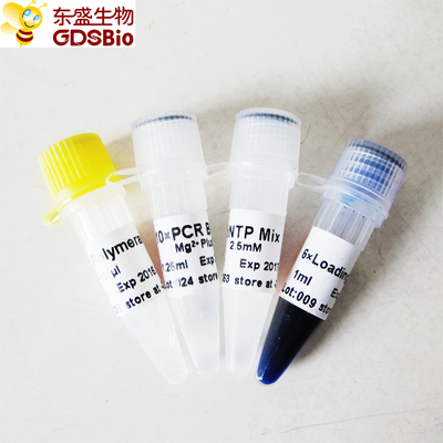 GDSBio Taq DNA Polymerase Untuk PCR Master Mix