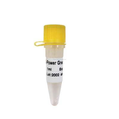 Power Green PCR Reagent Mix P2101 Efisiensi Amplifikasi Tinggi