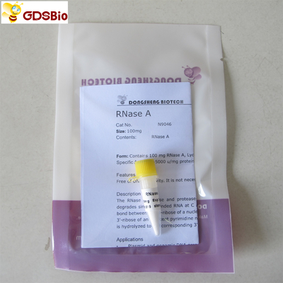 N9046 100 mg Produk Diagnostik In Vitro Serbuk RNase A