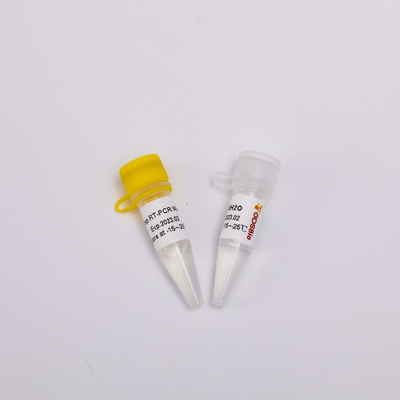 50 Rxn 2X Reverse Transcriptase Reagen PCR Satu Langkah Master Mix P1001