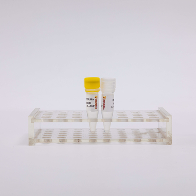 2X Campuran Satu Langkah RT PCR Untuk Transkripsi Terbalik RNA RP1001