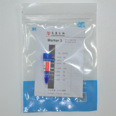 GDSBio Marker 3 DNA Marker Gel Elektroforesis Penampilan Biru