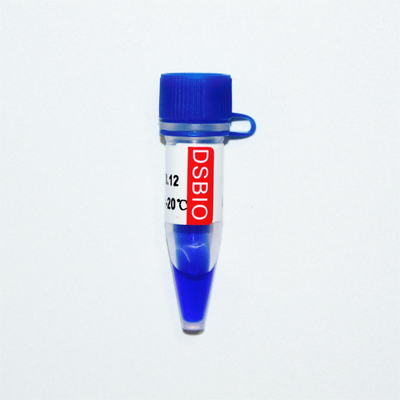 GDSBio Marker 3 DNA Marker Gel Elektroforesis Penampilan Biru