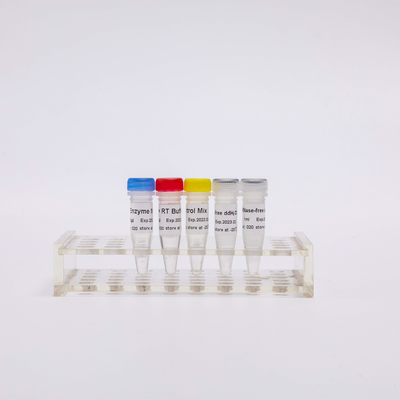RT PCR Mix Untuk Reverse Transcriptase PCR Reagen R1031 100 Rxns