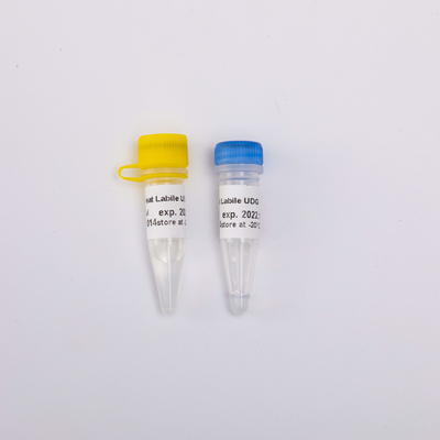 Heat Labil Master Mix Untuk Real Time PCR UDG Enzim Anti Kontaminasi Sangat Efektif