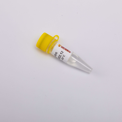 Heat Labil Master Mix Untuk Real Time PCR UDG Enzim Anti Kontaminasi Sangat Efektif