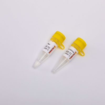 10000U Gold Reverse Transcriptase PCR R3002 Penampilan Tidak Berwarna