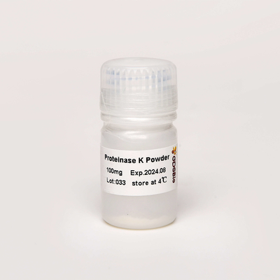 Produk Diagnostik GDSBio In Vitro Molecular Biology Grade Proteinase K Powder PK N9016 100mg