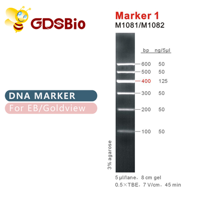 Marker 1 DNA Marker Elektroforesis 400bp 50ug Penampilan Biru