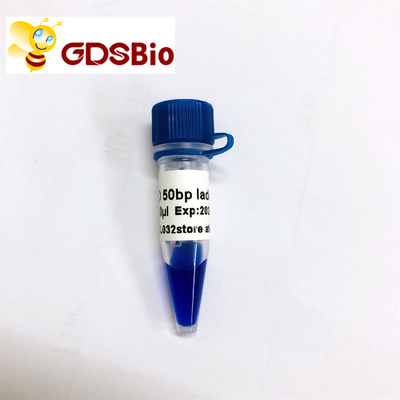 Tangga Penanda Elektroforesis Gel DNA 50bp GDSBio