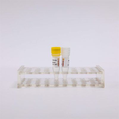 Transkripsi Terbalik RNA Dan Kit PCR Titik Akhir One Step RT PCR Mix RP1001