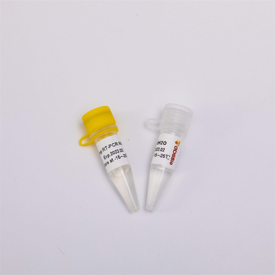 Transkripsi Terbalik RNA Dan Kit PCR Titik Akhir One Step RT PCR Mix RP1001