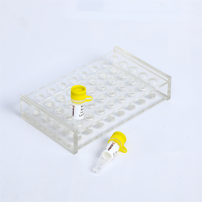 Polusi - Bukti 2X Multiplex PCR Master Mix Dengan UDG PM2001 PM2002 PM2003