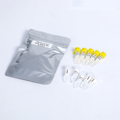 P2101 PCR Master Mix Kit 400 Rxn 20μL Reaksi