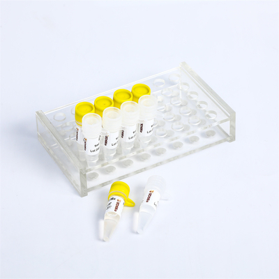 P2101 PCR Master Mix Kit 400 Rxn 20μL Reaksi