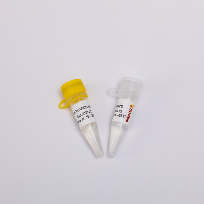 Transkripsi Terbalik GDSBio RNA Dan Endpoint PCR Kit One Step RT Mix RP1001