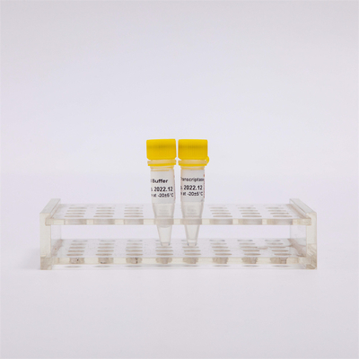 cDNA Rt PCR Emas Reverse Transcriptase R3001 2000U R3002 10000U