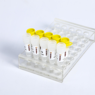 KASP PCR Master Mix P4021 P4022 SNP Deteksi InDels